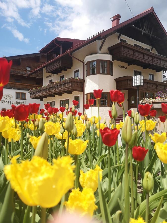 Hotel Chalet Sonneck à Seefeld in Tirol Extérieur photo